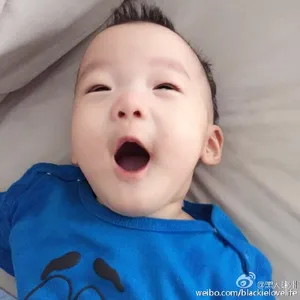陈建州范玮琪BB最新图片动态-翔翔，飞飞的成长影集_2