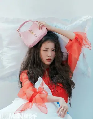 IU李知恩时尚复古写真图片_4