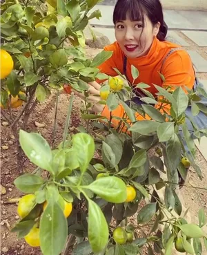 泫雅背带裤清新俏丽美照图片
