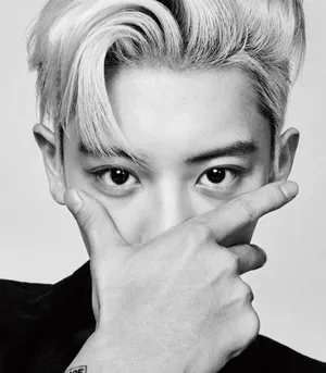 朴灿烈吴世勋合体封面大片写真图片_12