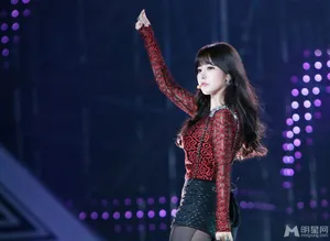 Tara朴素妍Dream Concert 变身唯美女神第1张
