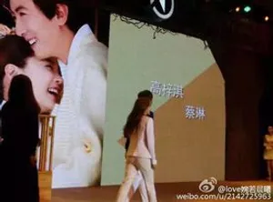 蔡琳 金利来女鞋秋季发布会 第二波