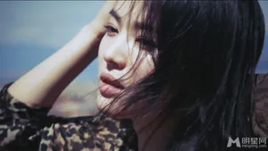 金泰希