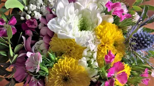 一束手捧鲜花图片_3