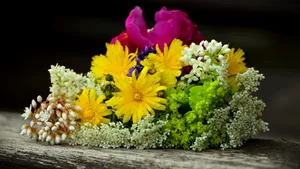 一束手捧鲜花图片_8