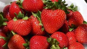 酸甜可口的草莓图片大全第14张