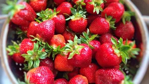 酸甜可口的草莓图片大全第15张