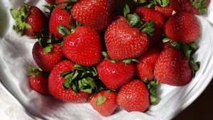酸甜可口的草莓图片大全第16张