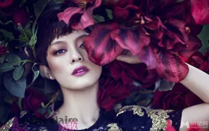 妇女节福利朴信惠图片_25