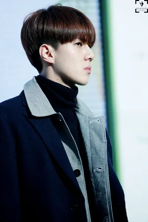 EXO吴世勋图片集合 150131自然乐园签售会现场图_4