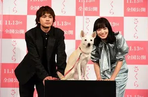 北村匠海小松菜奈甜美帅气活动照图片
