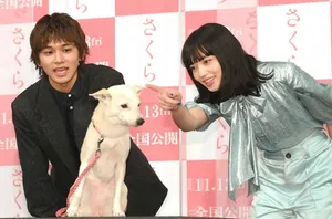 北村匠海小松菜奈甜美帅气活动照图片_2