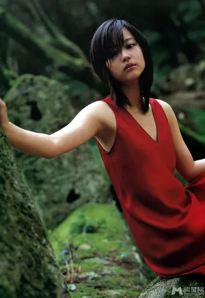 堀北真希高清写真尽显风情_2