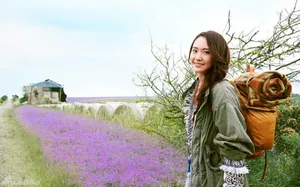 新垣结衣花丛中高清美照_3