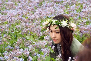 新垣结衣花丛中高清美照_7