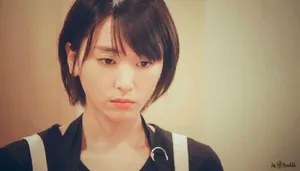 日本女神新垣结衣唯美短发图片