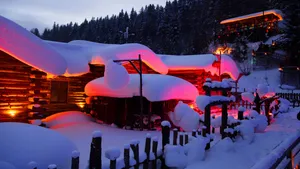 雪乡夜景图片大全_14