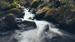 山涧溪流图片大全_2