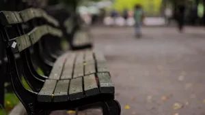 户外长椅风景图片_3
