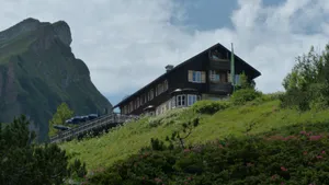 山上的小屋图片_10