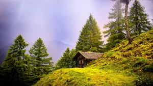 山上的小屋图片_12