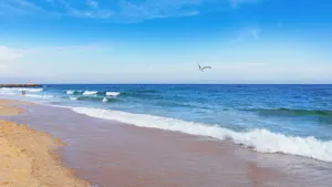 超清唯美大海海滩图片_11