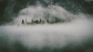 云雾缭绕的山涧图片_6