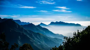 云雾缭绕的山涧图片_13