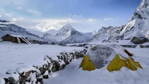 严寒的北极冰川图片_8