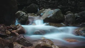 高清森林溪流图片_8