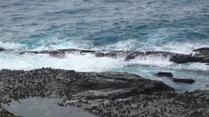 高清海浪图片大全_4