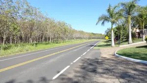 最美公路图片大全_2