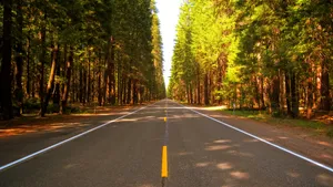 最美公路图片大全_3