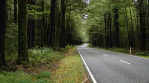 最美公路图片大全_5