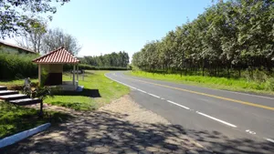 最美公路图片大全_8