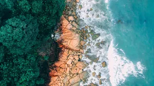 航拍美丽的海滩图片_13