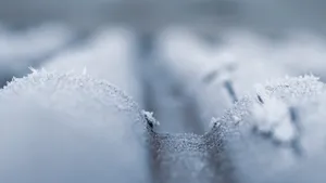 冬季霜冻美景图片_3