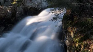 森林小溪流水图片_9