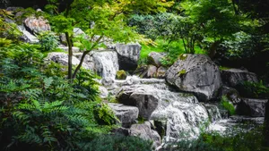 森林小溪流水图片_10