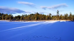 极寒之地雪原图片_7