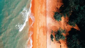 鸟瞰海岸线风景图片_6