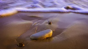 沙滩海滩上的鹅卵石图片