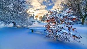 唯美雪景图片大全壁纸_2