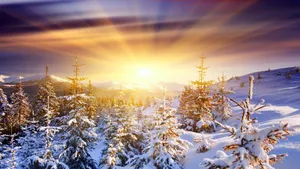唯美雪景图片大全壁纸_5