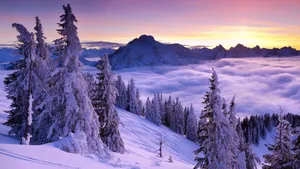唯美雪景图片大全壁纸_6
