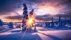 唯美雪景图片大全壁纸_8