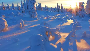 唯美雪景图片大全壁纸_9