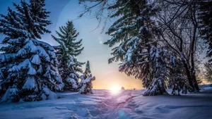 唯美雪景图片大全壁纸_10