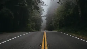 唯美公路风景图片_4