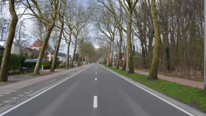 唯美公路风景图片_12